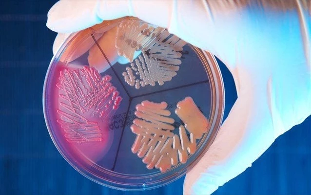 Βακτήρια σκοτώνουν χιλιάδες στην Ευρώπη – Υψηλός κίνδυνος και για Ελλάδα